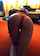 webcam mfc