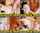brazzers