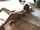 toys masturbation blonde