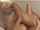 blond teen bigtits