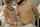 teen 21sextury