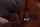 What's the name of this porn actor?