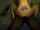 camgirl bbc webcam homemade