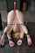 what is the name of this porno