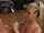 compilation cumshot