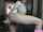 shaved caucasian striptease
