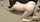 amateur dildo