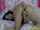 small tits toys masturbation