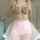 What's the name of this porn actor?