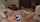 Name of the movie OR Actor?