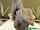 blond webcam blonde