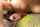 tiny