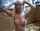 What's the name of this porn actor?