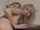 dildo hot teen