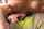 tiny