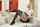 digital playground