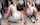 What's the name of this porn actor?