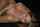 What's the name of this porn actor?