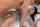 What's the name of this porn actor?