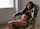 What's the name of this porn actor?