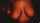 What's the name of this porn actor?