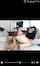 chaturbate camgirl