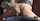 Video or name ?