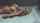 What's the name of this porn actor?