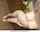 What's the name of this porn actor?