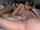 What's the name of this porn star?