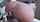 Where can I find this video?