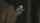digital playground threesome shower