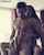 source video?