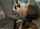 ass fuck teen tushy