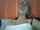 latin mexican webcam