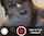 Need video