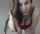 clips4sale