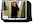 Name, Video, site