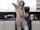chaturbate