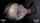 What's the name of this porn star?