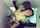 Name and vid?