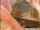 What's the name of this porn star?