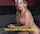 clips4sale