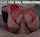 dress riding lingerie