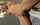 What's the name of this porn star?