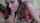 What's the name of this porn star?