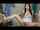what video is this from?