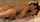 What's the name of this porn star?