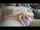 Name and Video?