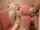 What's the name of this porn star?